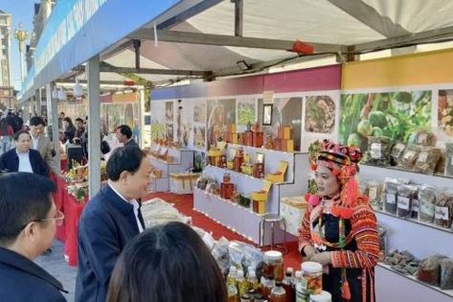 Nông sản tiêu thụ tăng mạnh tại Tuần Du lịch - Văn hóa Lai Châu 2025