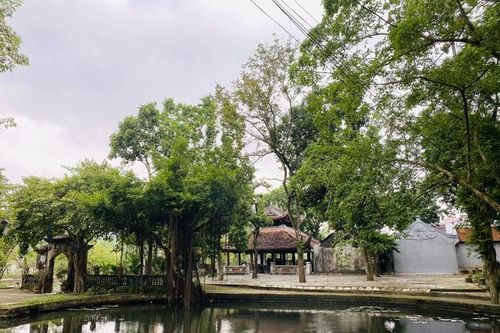 Nặng lòng với quê hương