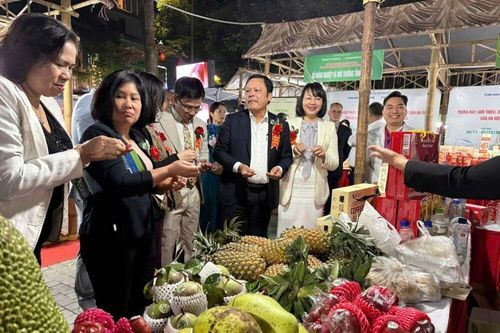 Đồng Tháp: Giới thiệu sản phẩm đặc trưng tại Tuần hàng nông sản an toàn Hà Nội