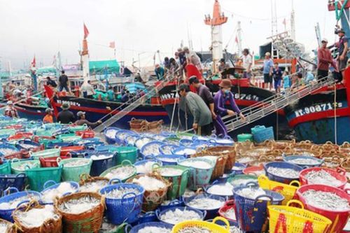 Chỉ đạo, điều hành của Chính phủ, Thủ tướng Chính phủ ngày 29/11/2025 (2)