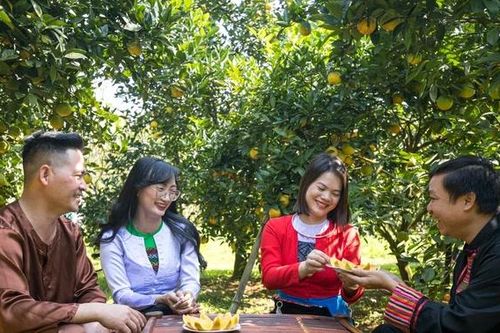 Trải nghiệm giữa sắc cam Cao Phong rực rỡ
