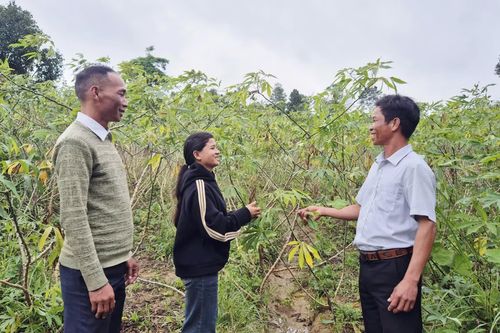 Người biến đất cằn thành cánh rừng xanh