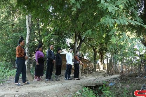 Bố trí, sắp xếp dân cư vùng thiên tai bản Luông Mé