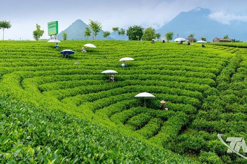 Kể chuyện Thái Nguyên bằng hình ảnh