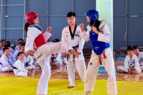 162 võ sinh thi thăng cấp môn Taekwondo