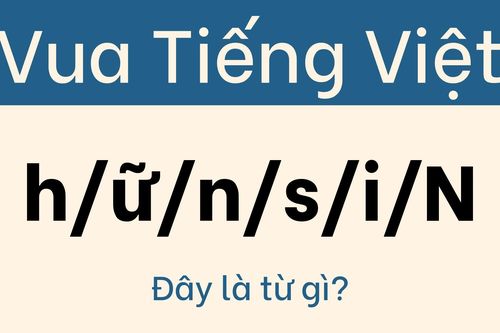 Đừng nhận mình là 'vua tiếng Việt' nếu không giải được câu này trong 5 giây