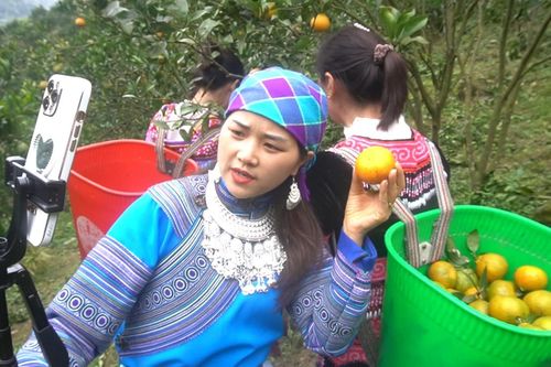 Đẩy mạnh chuyển đổi số và ứng dụng công nghệ cao trong công tác giảm nghèo