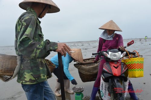Quảng Ninh: Hải sản chết bất thường, nghi do hóa chất