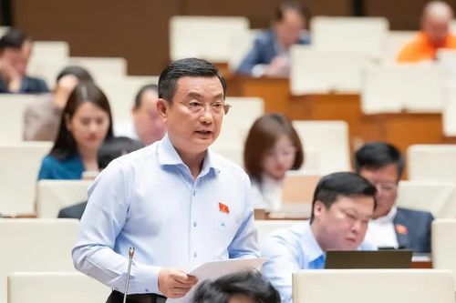 Đại biểu Quốc hội: 'Trong cuộc chơi kinh tế số, doanh nghiệp Việt đang phải chạy trên sân của người khác'