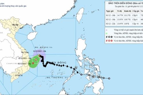 Bão số 15 Koto giật cấp 10, di chuyển chậm về vùng biển Gia Lai - Khánh Hòa