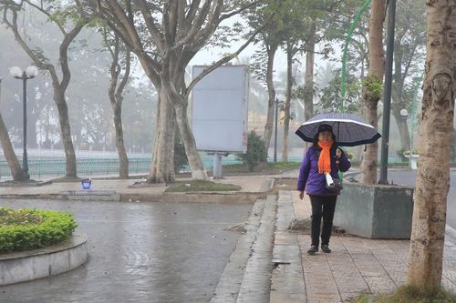 Thời tiết 1/12: Bão số 15 ít dịch chuyển và suy yếu dần, miền Bắc rét về đêm và sáng