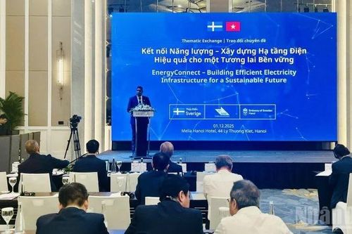 Thụy Điển và Việt Nam thúc đẩy hợp tác xây dựng lưới điện hiện đại, bền vững