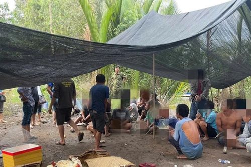 Đột kích sới gà, bắt giữ 26 đối tượng ở An Giang