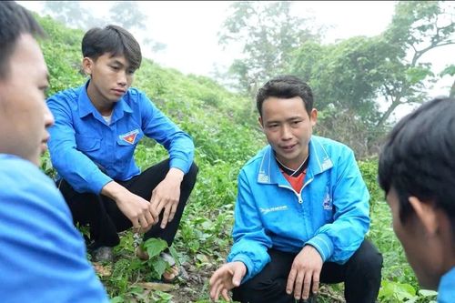Anh cán bộ dẫn lối bản Mông 'dệt tơ vàng' trên nương đá