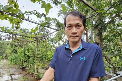Thành công nhờ mô hình nuôi trai lấy ngọc