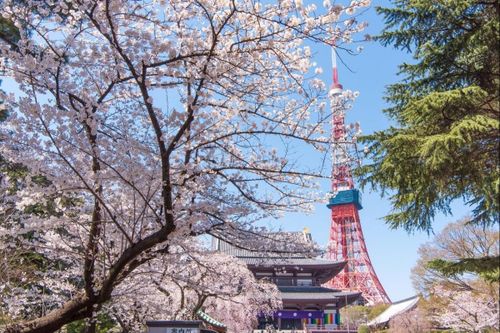 Với mức thu nhập tốt hơn, Vùng thủ đô Tokyo của Nhật Bản thu hút nhiều lao động nước ngoài