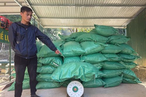 BĐBP Cao Bằng thu giữ hơn 1,7 tấn hàng hóa không rõ nguồn gốc