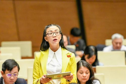 Đề xuất cấp phép khai thác đất hiếm tại khu vực nhạy cảm phải có ý kiến Bộ Quốc phòng, Bộ Công an