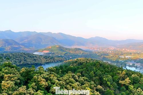 'Báu vật' của người Hải Phòng nở hoa trắng rừng