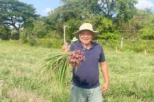 Bỏ lương nghìn USD, giám đốc năn nỉ vợ về quê đưa hành tím, củ cải vào siêu thị