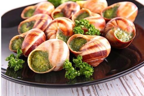 Trang trại Pháp mất số ốc sên quý giá hơn 2,7 tỷ đồng