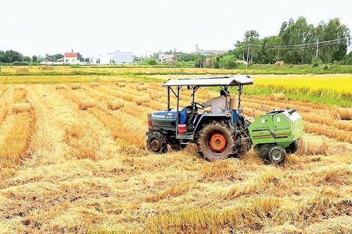 Gia Lai: Thúc đẩy liên kết giữa hợp tác xã và doanh nghiệp