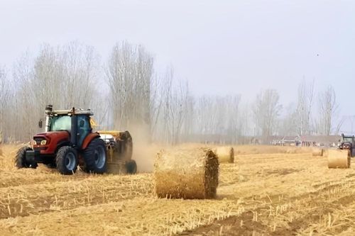 Cách Trung Quốc kiếm tiền từ rơm rạ: Nông dân chở rác đổi tiền mặt mỗi ngày