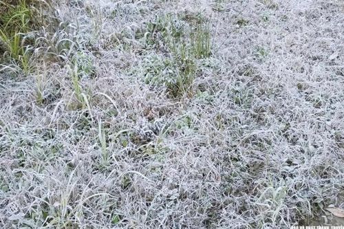 Nhiệt độ xuống dưới 0°C, băng giá xuất hiện tại xã Na Ngoi