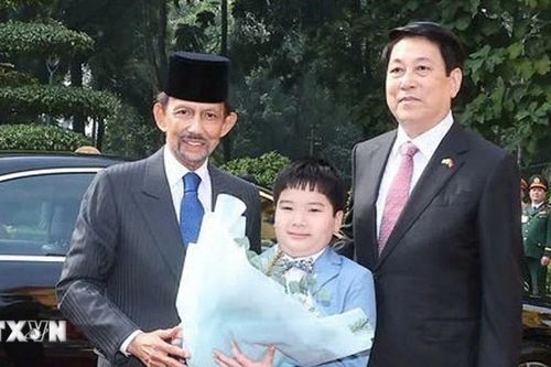 Lễ đón Quốc vương Brunei thăm cấp Nhà nước Việt Nam