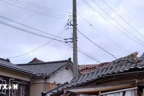 Nhật Bản: 60% địa điểm sơ tán sóng thần không có kho dự trữ