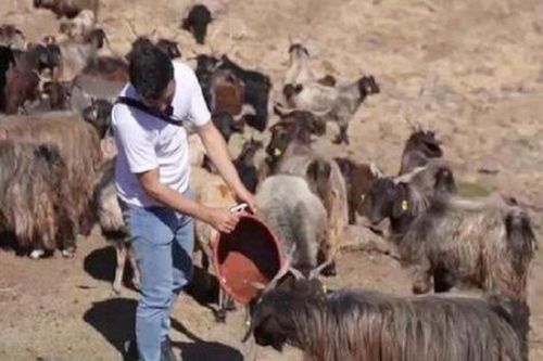 Nghề 'hot' đi làm như đi chơi, lương trăm triệu/tháng vẫn thiếu người làm
