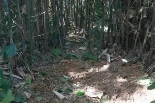 Đi đào giun, người đàn ông phát hiện kho báu quý giá