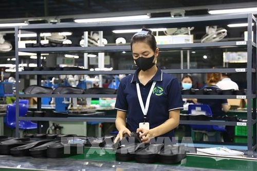 Kinh tế xanh giúp doanh nghiệp tiến gần mục tiêu Net Zero