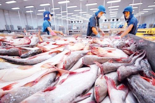 Thủy sản Việt Nam sang Nhật Bản đạt gần 1,5 tỷ USD giữa bối cảnh thị trường 'co mình'