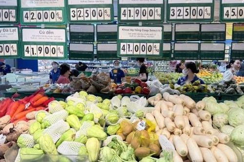 TP. Hồ Chí Minh: Đảm bảo nguồn cung rau xanh, bình ổn giá