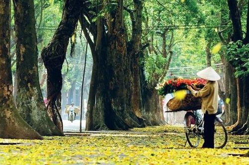 Thời tiết Bắc Ninh đêm mùng 1, ngày 2/12: Ngày trời nắng, đêm và sáng trời rét