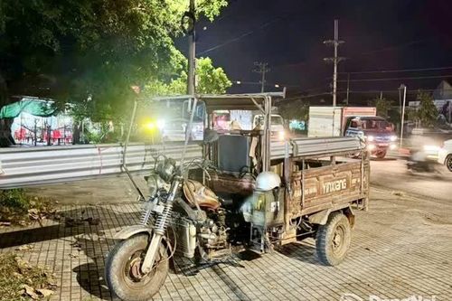 Cảnh sát giao thông Đồng Nai xử lý hàng loạt xe ba gác chở hàng cồng kềnh trên quốc lộ