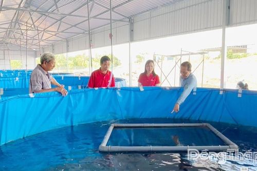 Đột phá trong phát triển nông nghiệp đô thị