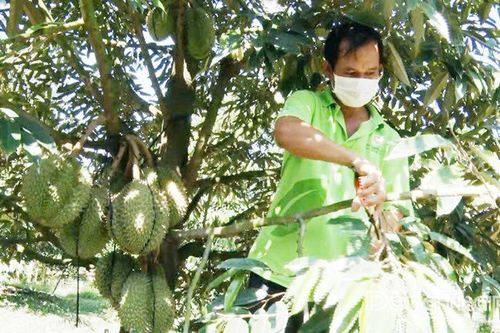 Diện mạo mới ở Mỹ Thiện sau sáp nhập