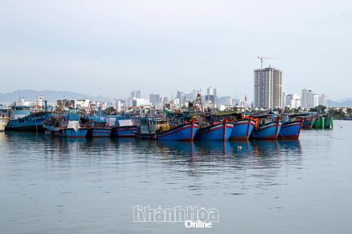 UBND tỉnh thông báo kết thúc lệnh cấm biển từ 9 giờ ngày 1-12