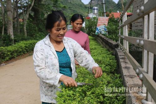 'Hạt nhân' xây dựng nông thôn mới