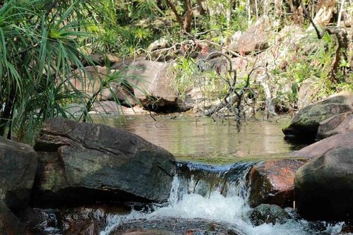 Suối Tiên Phú Quốc: Khám phá dòng suối mát giữa rừng già