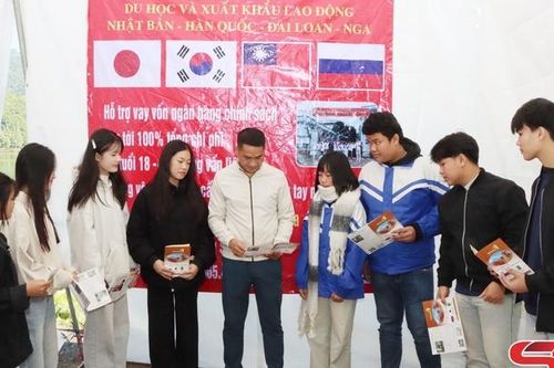 Nâng cao tiêu chí thu nhập trong xây dựng nông thôn mới