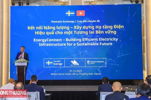 Thụy Điển đề xuất các giải pháp xây dựng hạ tầng điện hiệu quả tại Việt Nam