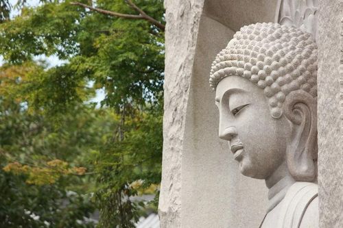 Bậc Đại y vương
