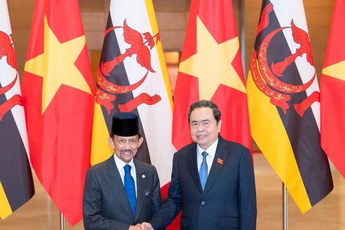 Chủ tịch Quốc hội Trần Thanh Mẫn hội kiến Quốc vương Brunei