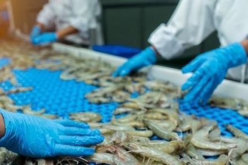 Xuất khẩu thủy sản Việt Nam lạc quan cán mốc 11 tỷ USD năm 2025