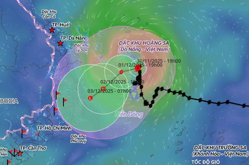 Bão số 15 di chuyển chậm, suy yếu dần