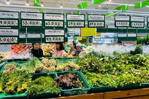 Nỗ lực bình ổn giá rau xanh