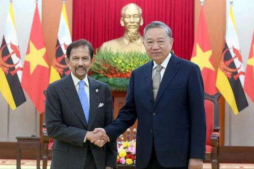 Tổng Bí thư Tô Lâm tiếp Quốc vương Brunei